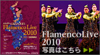 FLAMENCO LIVE 2010
