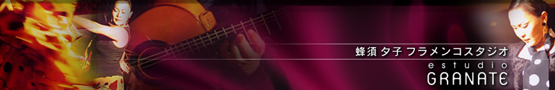 蜂須夕子フラメンコスタジオ　estudio GRANATE